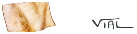 Vial